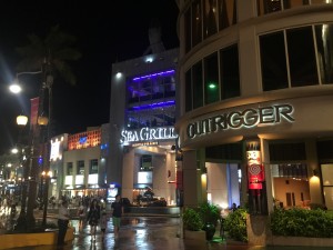IMG_7087