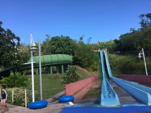 IMG_7289