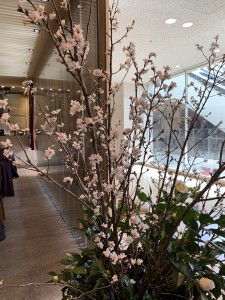 E169BE8C-17BF-43E9-BBB5-7A4989990CE0