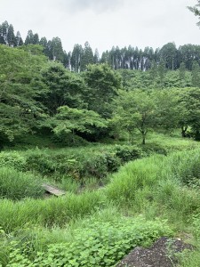 918632F4-6022-4EEE-A5A3-4D1F31A60A47