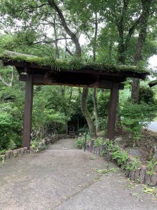 9FBEF020-DA90-45AC-BC40-60CFFA366EA5