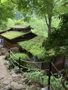 AE6006ED-0D37-45FF-A945-E055A87D7C5E