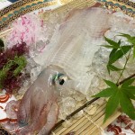 604BB365-BEAE-490D-BA99-47D3CA8FE331