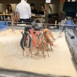 0422D0F8-58DD-48F7-83B4-8CC82FE99383