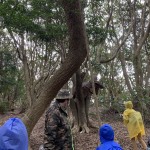 03BFBD75-EDDD-4FAB-9D56-FD69DD373192