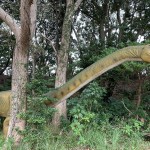 5252B007-575C-4439-97EB-0EC5E412C990