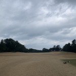 IMG_9523