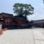 IMG_3350