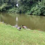 IMG_3749