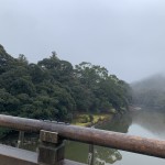 IMG_5767