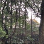 IMG_5775