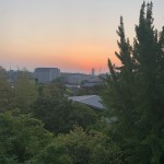 IMG_7326