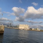 IMG_7852