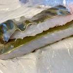 IMG_7873