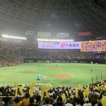 IMG_8027