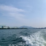 IMG_8354