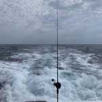 IMG_8538