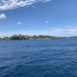 IMG_8544