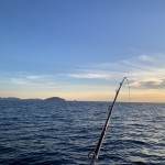 IMG_8819