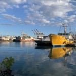 IMG_9071