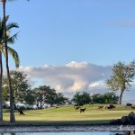 IMG_9202