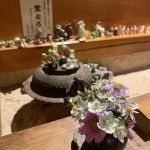 IMG_0743