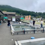IMG_0767