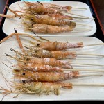 IMG_0770