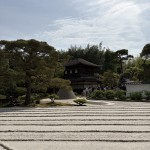 IMG_4404