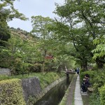 IMG_4429
