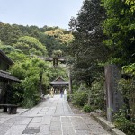 IMG_4432