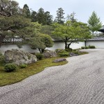 IMG_4441