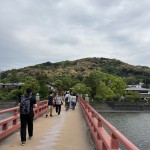 IMG_4475