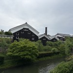 IMG_4511