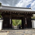 IMG_4567
