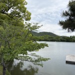 IMG_4593