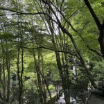 IMG_4603
