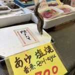 IMG_4686