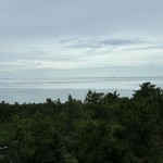 IMG_5319