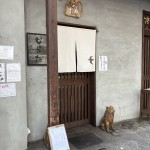 IMG_5375