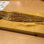 IMG_5892