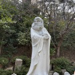 IMG_6708